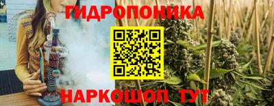 индика Михайловка