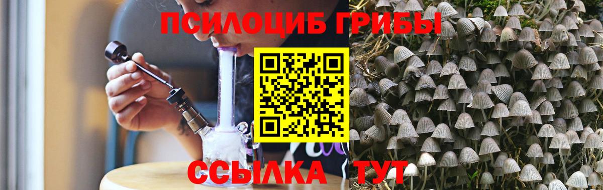Михайловка  Галлюциногенные грибы Psilocybine cubensis  Галлюциногенные грибы MAGIC MUSHROOMS  Вход с VPN 